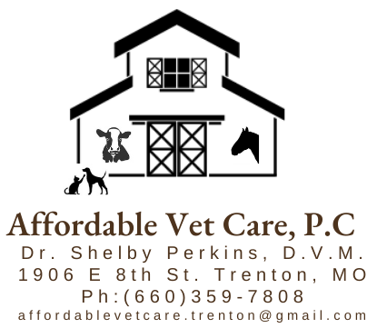 Affordable Vet Care